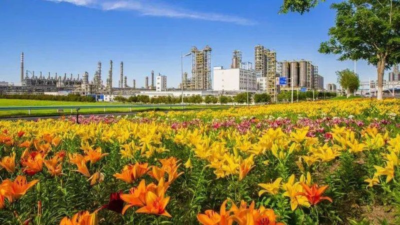 汽车轻量化趋势下，高分子材料如何助力？**